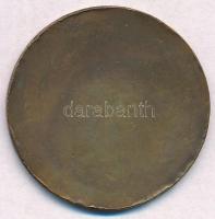 Szántó Gergely (1886-1962) 1927. "Királyi Magyar Egyetemi Nyomda" Br emlékérem (40mm) T:2 ...