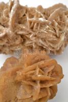 2 db nagyobb méretű sivatagi rózsa