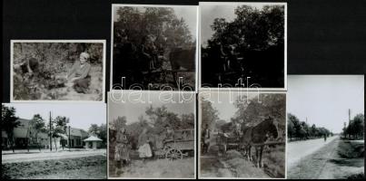 Rákoskeresztúr főutcája 1930-ban 13 db 7x10 cm fotó (későbbi nagyítás) + 5 szüreti fotó