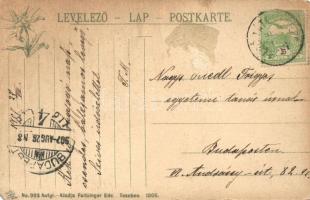 1907 Alsótátrafüred, Tátrafüred, Unter-Schmecks, Dolny Smokovec (Tátra, Magas Tátra, Vysoké Tatry); ...