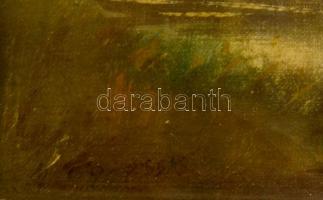 Olvashatatlan jelzéssel: Gólya pár. Olaj, vászon, üvegezett keretben, 20×33 cm