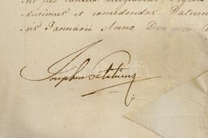 1834 József nádor tanúságlevele, latin nyelven, aláírással, papírfelzetes viaszpecséttel