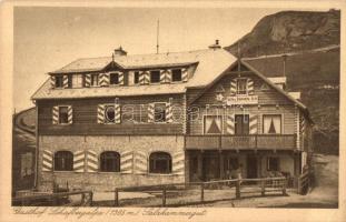 109 db RÉGI osztrák, svájci és német városképes lap, főleg 1920-as és 1930-as évek / 109 pre-1945 Au...