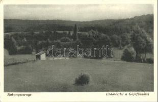 63 db RÉGI magyar városképes lap / 63 pre-1945 Hungarian town-view postcards