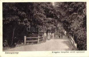 63 db RÉGI magyar városképes lap / 63 pre-1945 Hungarian town-view postcards