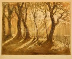 Paulovits Pál (1892-1975): Őszi napsugár. Színezett rézkarc, karton, jelzett, 46x35 cm
