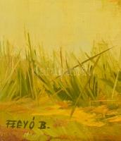 Fegyó Béla (1943-): Nád ősszel. Olaj, farost, jelzett, 40x60 cm