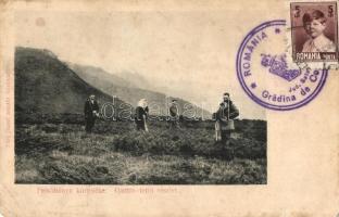 32 db RÉGI erdélyi városképes lap / 32 pre-1945 Transylvanian town-view postcards