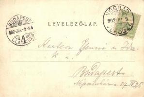 1902 Verőce, Árpád utca mágnás részlet. Magyar nyelvészek és irodalmárok aláírásaival: Vikár Béla, P...