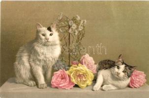 3 db RÉGI macska motívumlap / 3 pre-1945 cat motive postcards