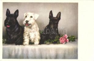 3 db RÉGI kutya motívumlap / 3 pre-1945 dog motive postcards
