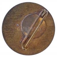 1973. "60 éves a Fővárosi Autótaxi Váll." zománcozott jelvény (20mm) T:1-