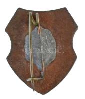 DN "Cinkotai 12 évfolyamos Iskola és Nevelőintézet" zománcozott jelvény (15x18mm) T:1-