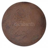 1989. " A Z2 Diósgyőr-Vasgyári Postagalambsport Egyesület" egyoldalas Br plakett (117mm) T...