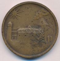 Csúcs Ferenc (1905-1999) 1969. "Budapesti Éremgyűjtők Egyesülete" kétoldalas Br emlékérem ...