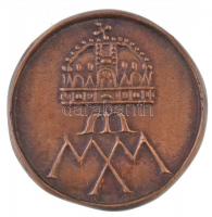 Asszonyi Tamás (1942-) 2000. "Magyar Millenium" Br emlékérem (~55mm) T:2