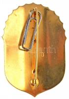 DN "Vitézi Jelvény" modern, zománcozott jelvény, hátoldalán sorszámmal + miniatűr kitűző T...