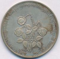 DN "Anne Frank 1929-1945" jelzetlen Ag emlékérem, eredeti dísztokban (16,02g/52mm) T:2 pat...