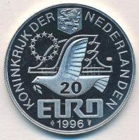 Hollandia 1996. 20E Ag "Willem Barentsz" tanúsítvánnyal, dísztokban T:PP
Netherlands 1996...