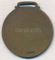 ~1940. "Gyakorló Gimnázium Sport Köre" egyoldalas Br díjérem (30x33mm) T:1-