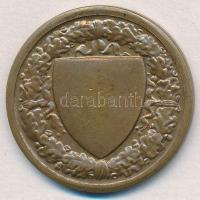 ~1940. "Budapesti Budai Torna Egylet 1869 - Kinizsy" kétoldalas Br emlékérem (33mm) T:1,1-