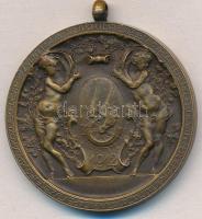 1912. "Budapest Székesfővárosi Közlekedési Részvénytársaság Sportegyesülete a Sport Terén Elért...