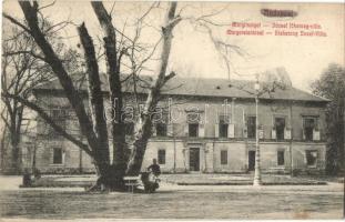 Budapest XIII. Margitsziget, József főherceg villa (fa)
