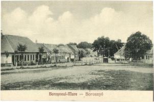 Nagyborosnyó, Borosnyó, Borosneu Mare; Utcarészlet, Foto Adler / street