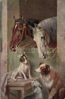 Dogs and horses