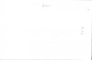 Siófok, Fő utca, Borharapó étterem és borozó, pincérnő az ajtóban. photo (non PC)