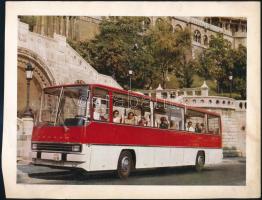 cca 1966 Ikarus busz reklám kép, hátoldalán német szöveggel, 19,5x25 cm