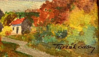 Turiák Ödön (1884-1937): Kilátás a folyóra. Akvarell, papír, jelzett, sérült keretben, 10,5×14 cm