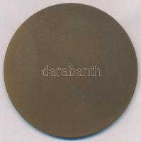 Búza Barna (1920-2010) 1961. "XIX. Kerületi Ady Endre Úti Iskola 1911-1961" Br emlékérem (...