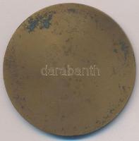 Búza Barna (1920-2010) 1961. "XIX. Kerületi Ady Endre Úti Iskola 1911-1961" Br emlékérem (...