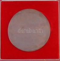 Cséri Lajos (1928- ) 1987. "Dr. Kotlán Sándor 1887-1967" egyoldalas Br plakett, eredeti dí...