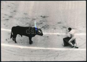 cca 1975 Fotósorozat egy bikaviadalról, 8 db vintage fotó, 16,5x23 cm