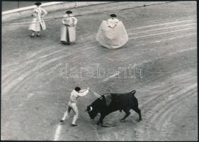 cca 1975 Fotósorozat egy bikaviadalról, 8 db vintage fotó, 16,5x23 cm