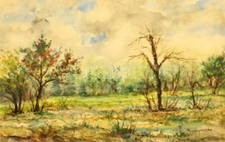 Mednyánszky jelzéssel: Erdőtűz után. Akvarell, papír, üvegezett keretben, 31×48 cm
