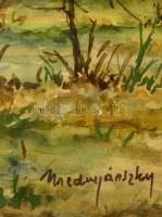 Mednyánszky jelzéssel:  Erdőtűz után. Akvarell, papír, üvegezett keretben, 31×48 cm