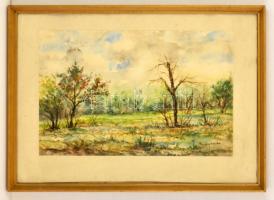 Mednyánszky jelzéssel:  Erdőtűz után. Akvarell, papír, üvegezett keretben, 31×48 cm