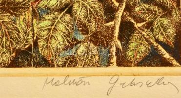 Molnár Gabriella (1940-): Rózsák. Színezett rézkarc, papír, jelzett, 29×19 cm