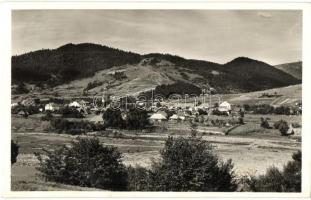 Ökörmező, Volove Polje, Mizhhirya; látkép a zsinagógával / general view with synagogue