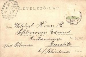 1900 Magyaróvár, Mosonmagyaróvár; utcakép, üzlet, lovaskocsik. photo (EB)