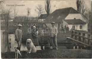 1917 Ormánd, Ormándpuszta (Komárváros, Zalakomár); uradalom, birtokosék kutyákkal (ázott sarok / wet corner)