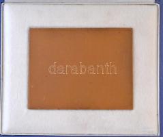 Madarassy Walter (1909-1994) 1973. "Budapest 1873-1973" Centenáriumi Br plakett eredeti dí...