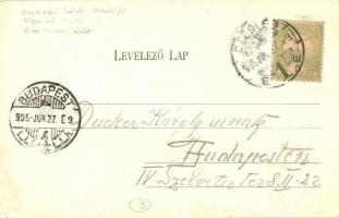 1905 Cegléd, Vasút utca, Nemzeti szálloda, Oroszváry László vendéglője, étterem, Biró Izidor üzlete,...