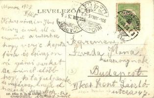 Monor, Dr. Szappanos féle ház, Virág utca, Klein Márton és Fia üzlete, létra. Klein M. és Fia saját ...