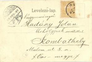 1901 Putnok, Tóth Ede színműíró szülőháza és emléktáblája, Politzer Manó, Ziegel Adolf üzlete. Kiadj...