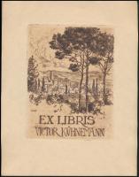 Conrád Gyula (1877-1959): Ex libris Victor Kühnemann. Rézkarc, papír, jelzett a karcon, 17×13 cm