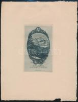 Hubert Wilm (1887-1953): Ex libris H. Kruczinski. Rézkarc, papír, jelzett a karcon, 12×7,5 cm